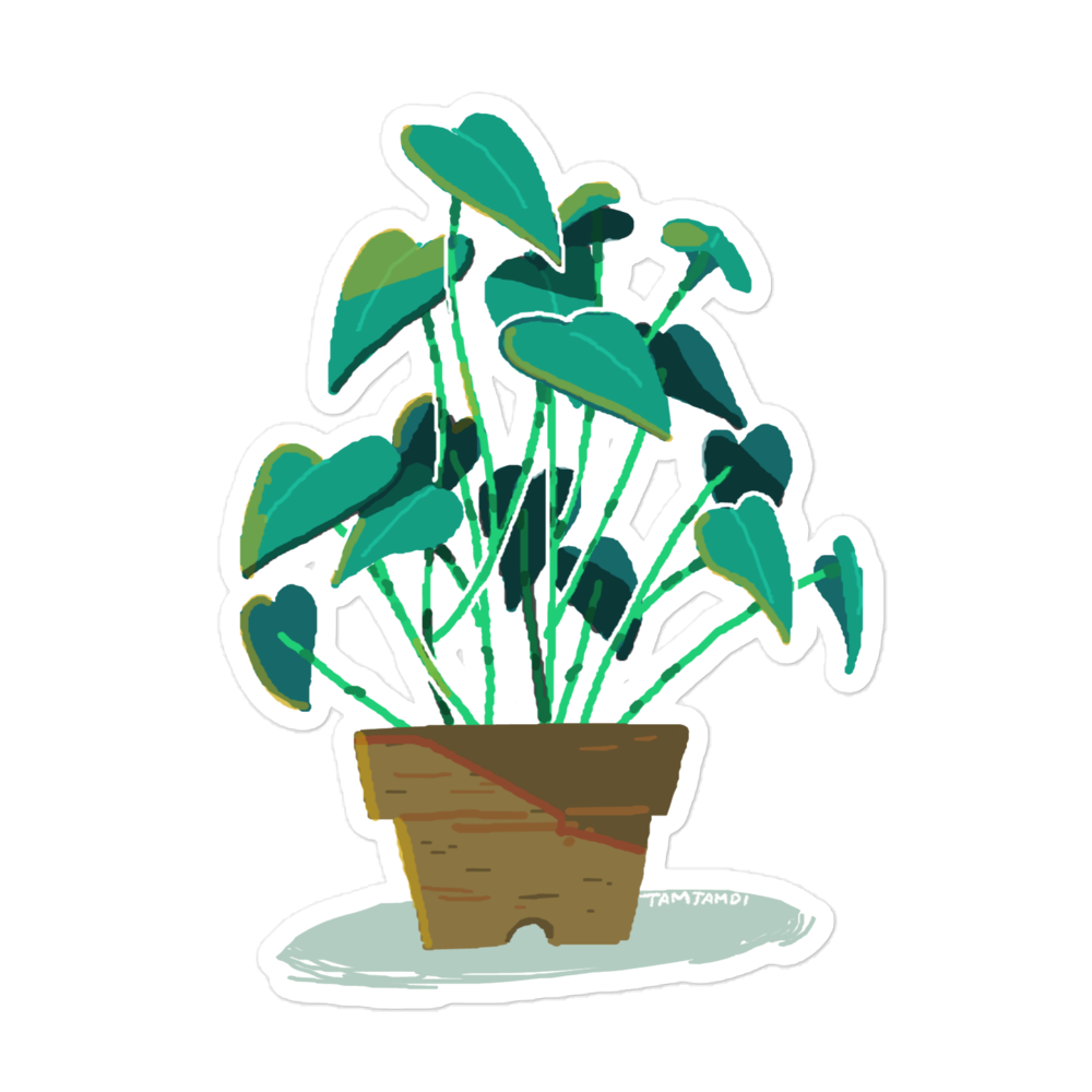 Little Plant