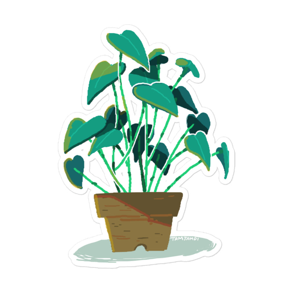 Little Plant